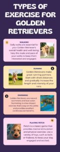 Types Of Exercise For Golden Retrievers