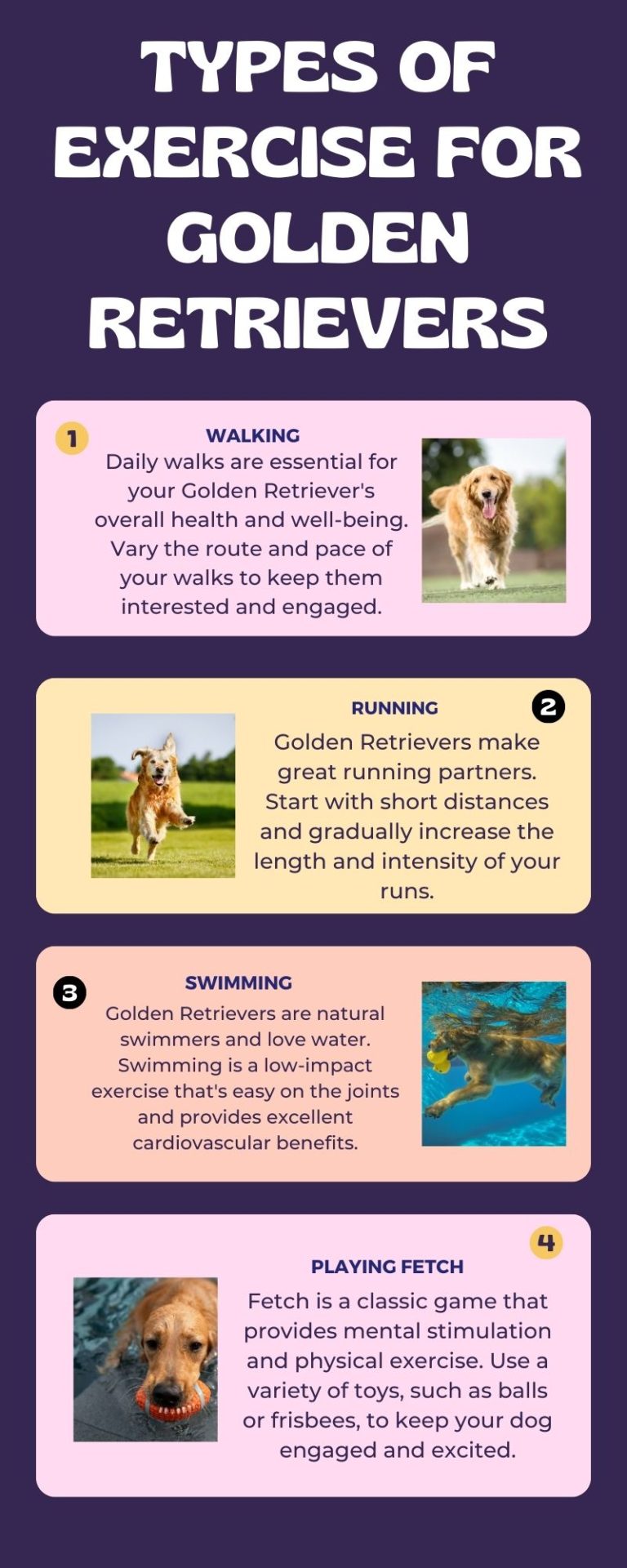 types-of-exercise-for-golden-retrievers-dog-grooming-tutorial